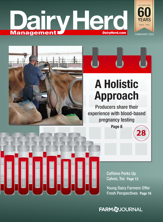 Dairy Herd Management February 2023 Dairy Herd